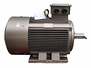 YE2 Series (IP55) High-Efficiency Three-Phase Asynchronous Motor Catalog
