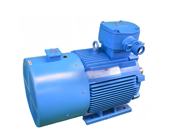 High Voltage Motor for Mining Industry Supplier